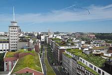 Grüne Dachlandschaften für Bremen - Visualisierung zeigt mögliche Gründächer