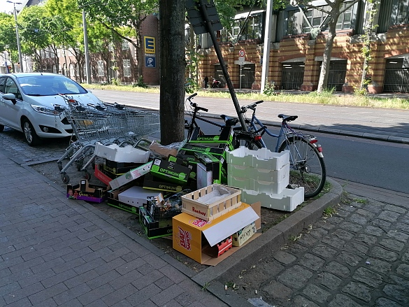 Müll und Fahrräder auf einer Baumscheibe